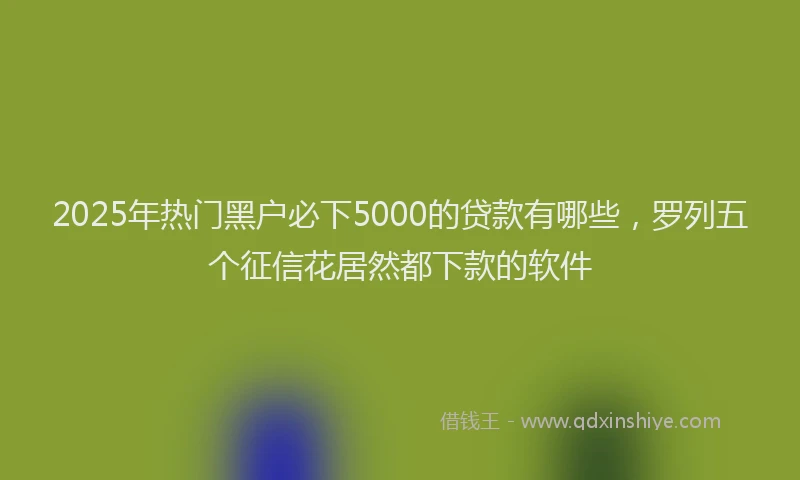 2025年热门黑户必下5000的贷款有哪些，罗列五个征信花居然都下款的软件