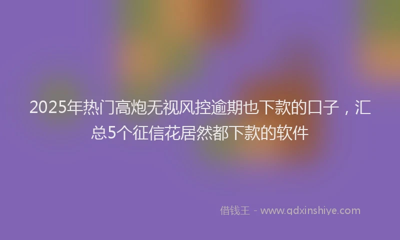 2025年热门高炮无视风控逾期也下款的口子，汇总5个征信花居然都下款的软件