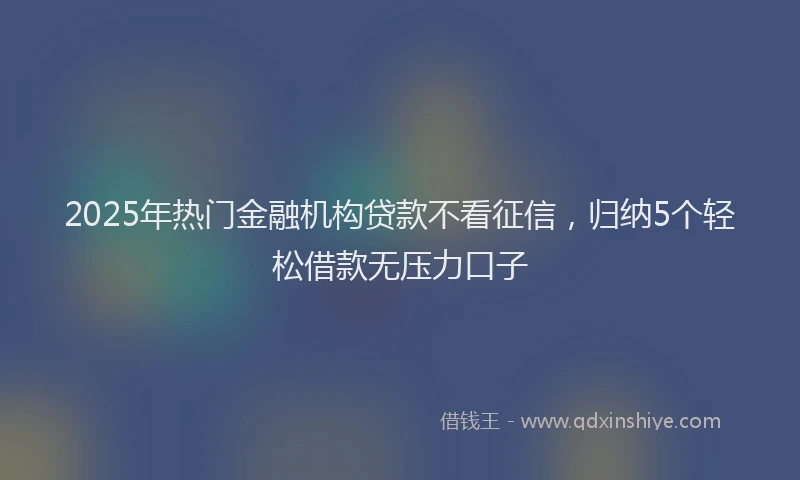 2025年热门金融机构贷款不看征信,归纳5个轻松借款无压力口子