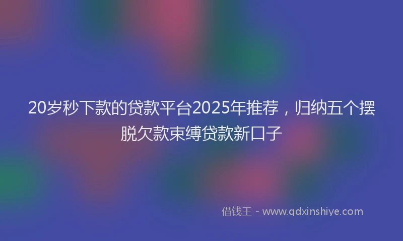 20岁秒下款的贷款平台2025年推荐，归纳五个摆脱欠款束缚贷款新口子