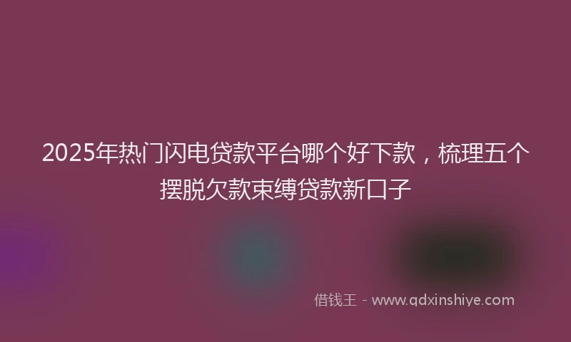 2025年热门闪电贷款平台哪个好下款，梳理五个摆脱欠款束缚贷款新口子