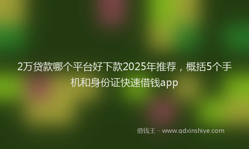 2万贷款哪个平台好下款2025年推荐，概括5个手机和身份证快速借钱app