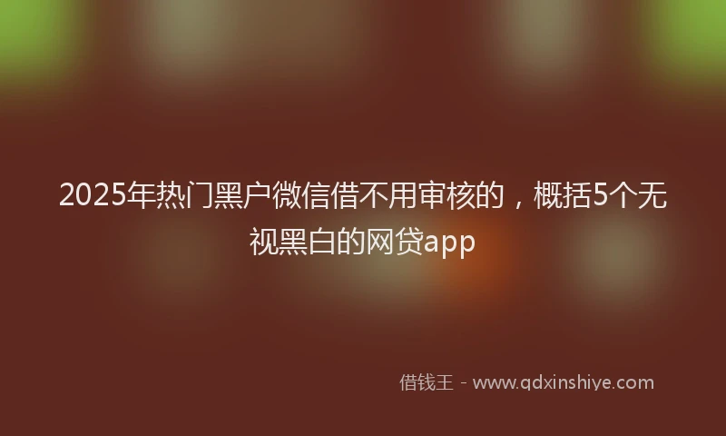 2025年热门黑户微信借不用审核的，概括5个无视黑白的网贷app