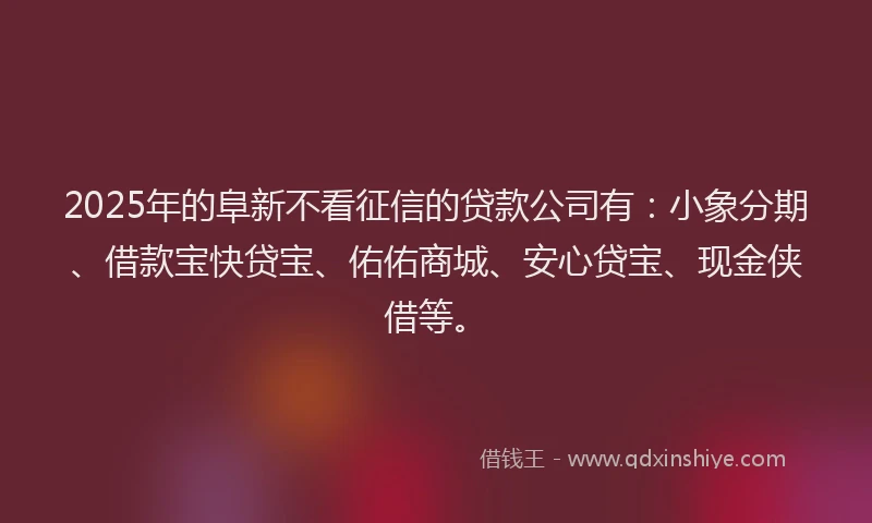 2025年的阜新不看征信的贷款公司有：小象分期、借款宝快贷宝、佑佑商城、安心贷宝、现金侠借等。