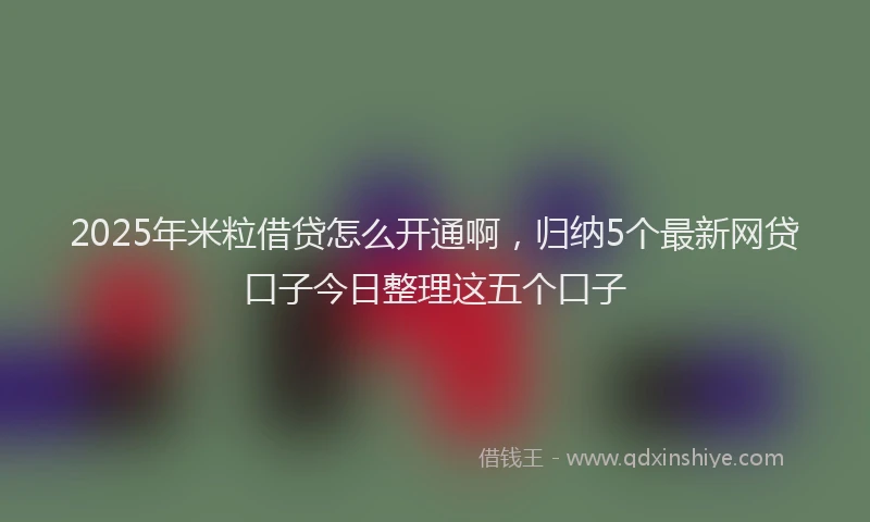 2025年米粒借贷怎么开通啊，归纳5个最新网贷口子今日整理这五个口子