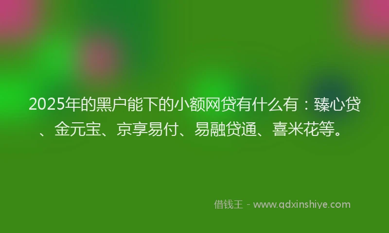 2025年的黑户能下的小额网贷有什么有：臻心贷、金元宝、京享易付、易融贷通、喜米花等。