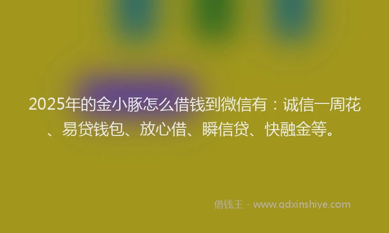 2025年的金小豚怎么借钱到微信有：诚信一周花、易贷钱包、放心借、瞬信贷、快融金等。