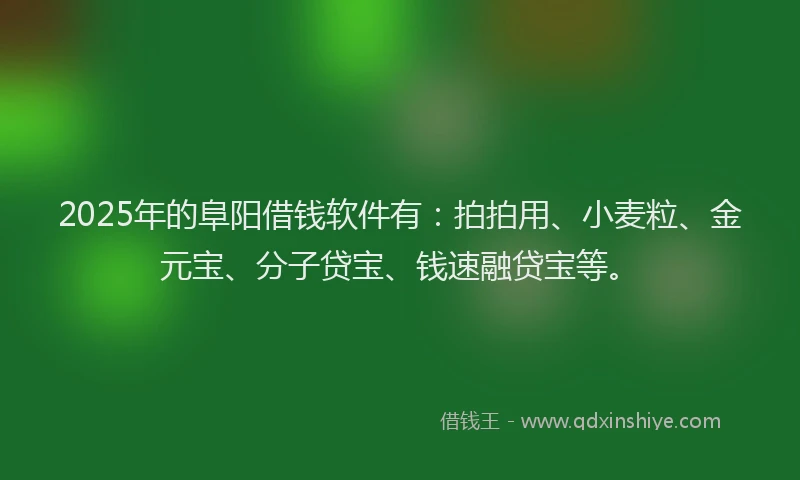 2025年的阜阳借钱软件有：拍拍用、小麦粒、金元宝、分子贷宝、钱速融贷宝等。