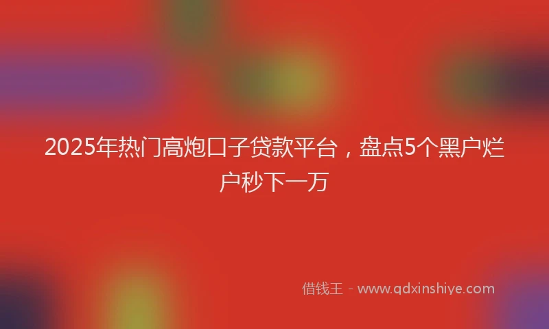 2025年热门高炮口子贷款平台，盘点5个黑户烂户秒下一万