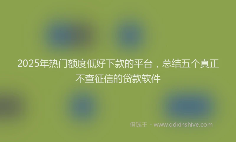 2025年热门额度低好下款的平台，总结五个真正不查征信的贷款软件