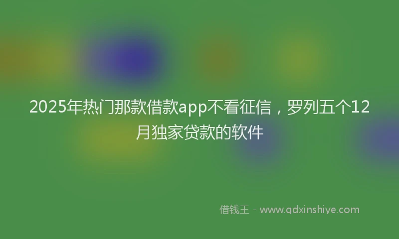 2025年热门那款借款app不看征信,罗列五个12月独家贷款的软件