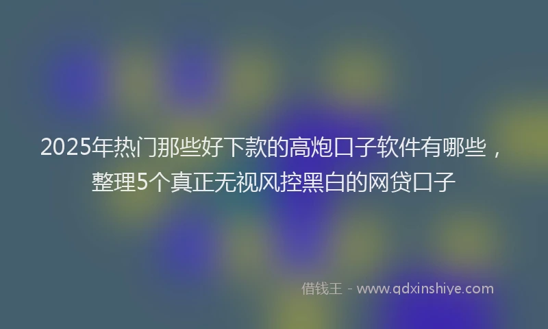 2025年热门那些好下款的高炮口子软件有哪些，整理5个真正无视风控黑白的网贷口子