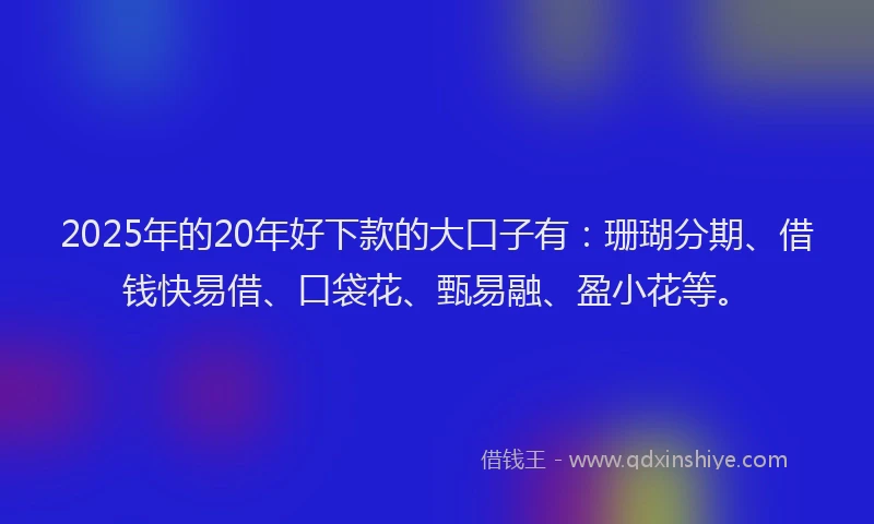 2025年的20年好下款的大口子有：珊瑚分期、借钱快易借、口袋花、甄易融、盈小花等。