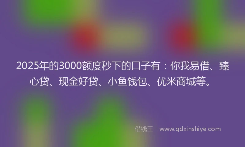 2025年的3000额度秒下的口子有：你我易借、臻心贷、现金好贷、小鱼钱包、优米商城等。