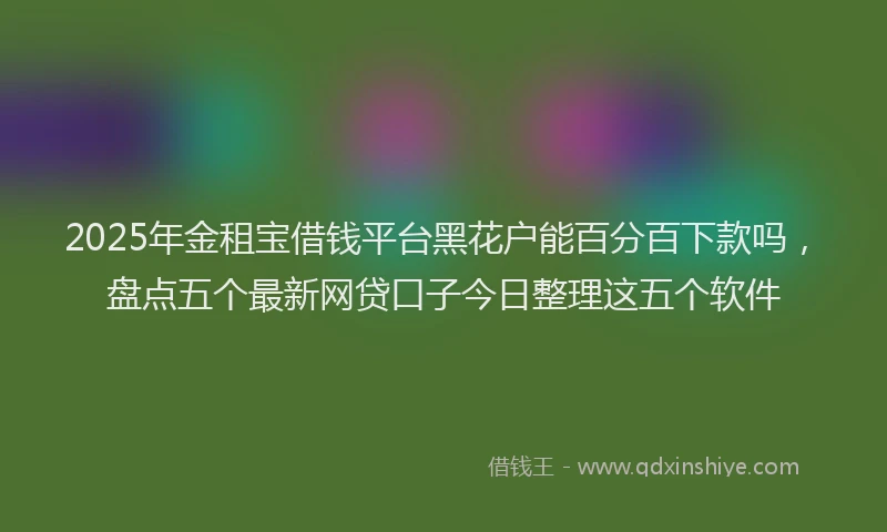 2025年金租宝借钱平台黑花户能百分百下款吗，盘点五个最新网贷口子今日整理这五个软件