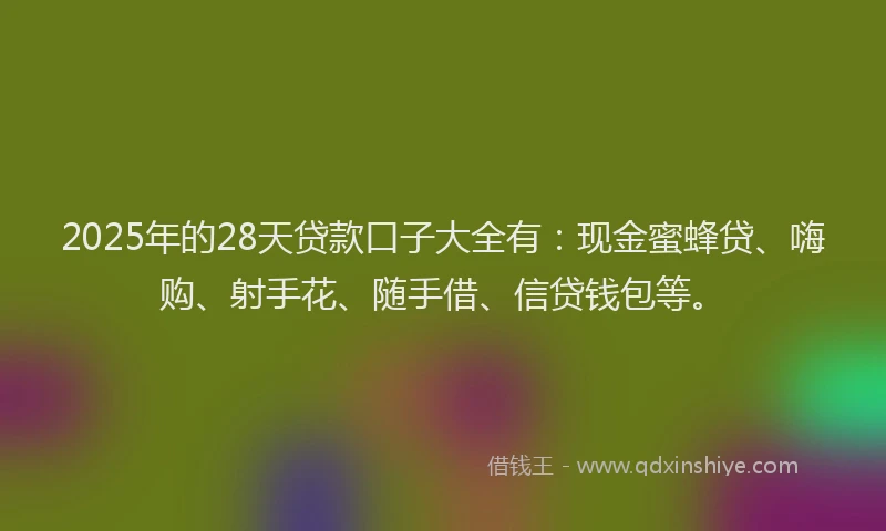 2025年的28天贷款口子大全有：现金蜜蜂贷、嗨购、射手花、随手借、信贷钱包等。