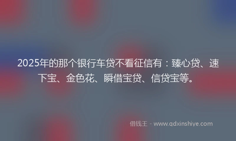 2025年的那个银行车贷不看征信有：臻心贷、速下宝、金色花、瞬借宝贷、信贷宝等。