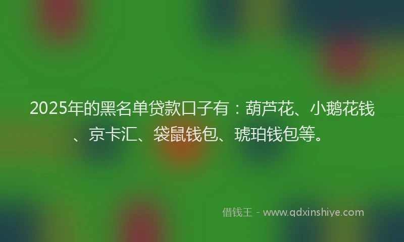 2025年的黑名单贷款口子有：葫芦花、小鹅花钱、京卡汇、袋鼠钱包、琥珀钱包等。