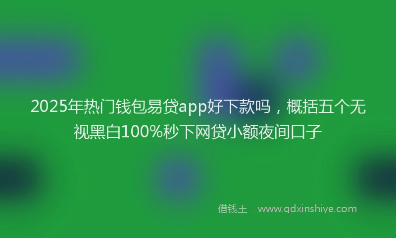 2025年热门钱包易贷app好下款吗，概括五个无视黑白100%秒下网贷小额夜间口子