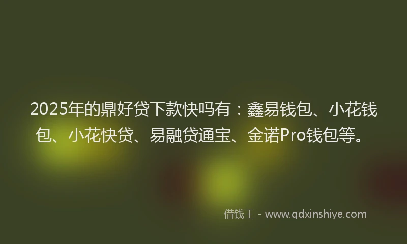 2025年的鼎好贷下款快吗有：鑫易钱包、小花钱包、小花快贷、易融贷通宝、金诺Pro钱包等。