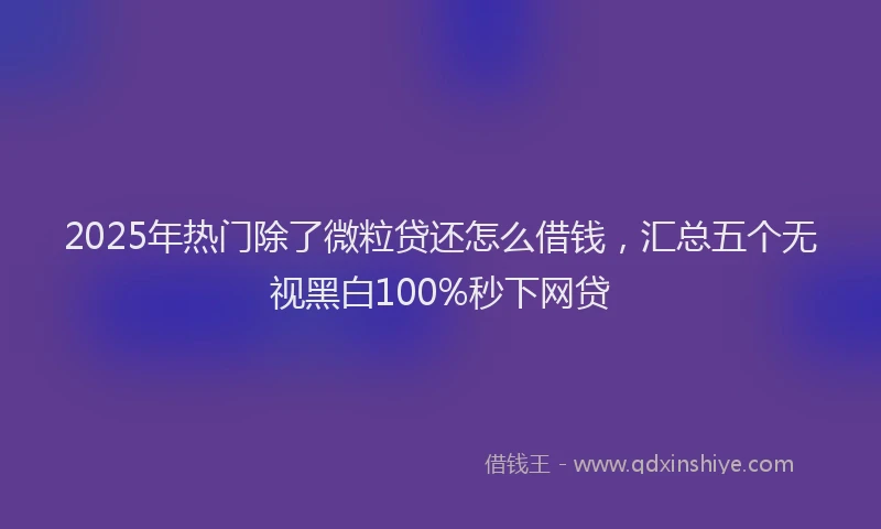 2025年热门除了微粒贷还怎么借钱，汇总五个无视黑白100%秒下网贷