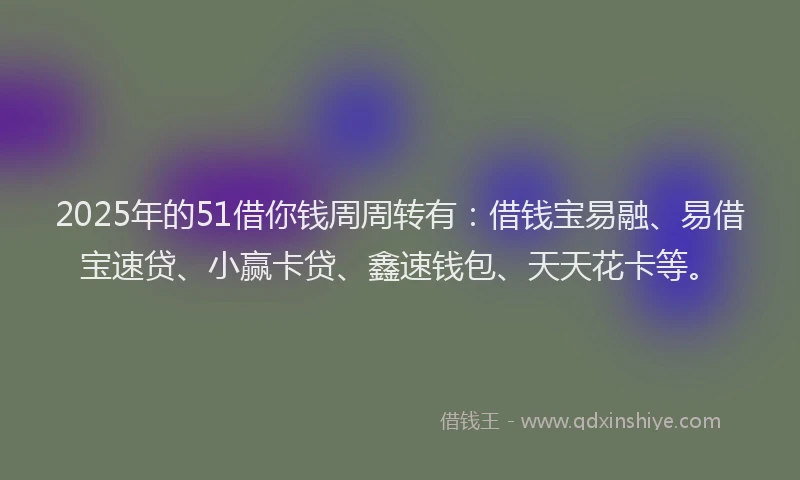 2025年的51借你钱周周转有：借钱宝易融、易借宝速贷、小赢卡贷、鑫速钱包、天天花卡等。