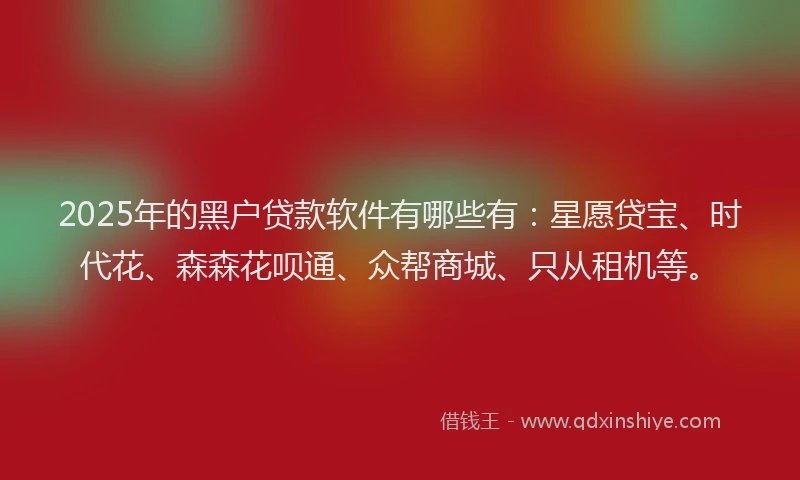 2025年的黑户贷款软件有哪些有：星愿贷宝、时代花、森森花呗通、众帮商城、只从租机等。