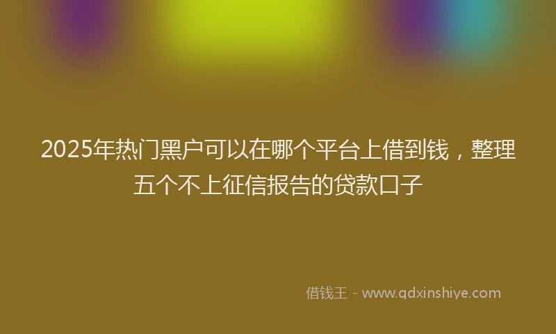 2025年热门黑户可以在哪个平台上借到钱，整理五个不上征信报告的贷款口子
