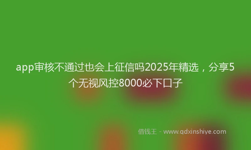 app审核不通过也会上征信吗2025年精选，分享5个无视风控8000必下口子