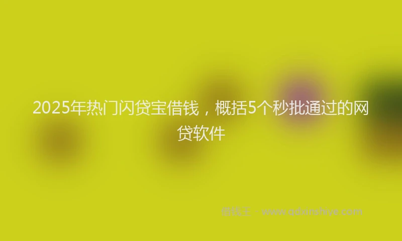 2025年热门闪贷宝借钱,概括5个秒批通过的网贷软件