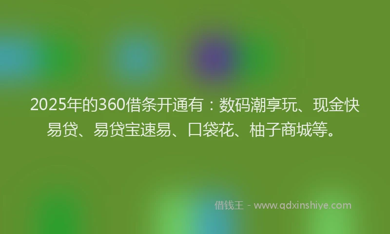 2025年的360借条开通有：数码潮享玩、现金快易贷、易贷宝速易、口袋花、柚子商城等。