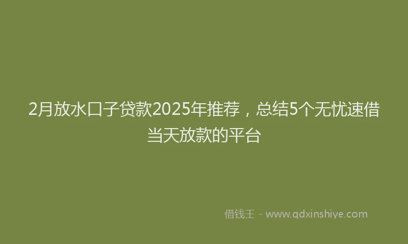 2月放水口子贷款2025年推荐，总结5个无忧速借当天放款的平台