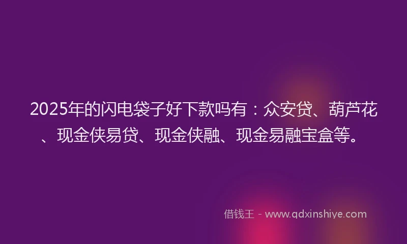 2025年的闪电袋子好下款吗有:众安贷、葫芦花、现金侠易贷、现金侠融、现金易融宝盒等。