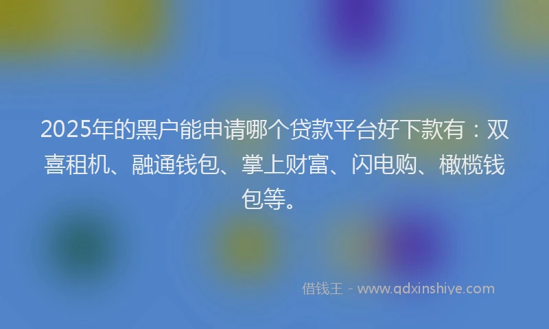 2025年的黑户能申请哪个贷款平台好下款有：双喜租机、融通钱包、掌上财富、闪电购、橄榄钱包等。