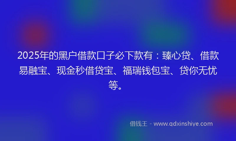 2025年的黑户借款口子必下款有：臻心贷、借款易融宝、现金秒借贷宝、福瑞钱包宝、贷你无忧等。
