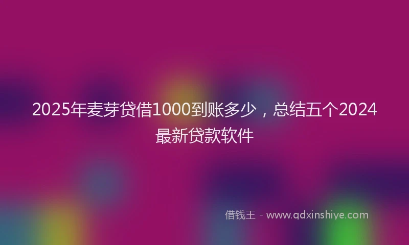 2025年麦芽贷借1000到账多少，总结五个2024最新贷款软件