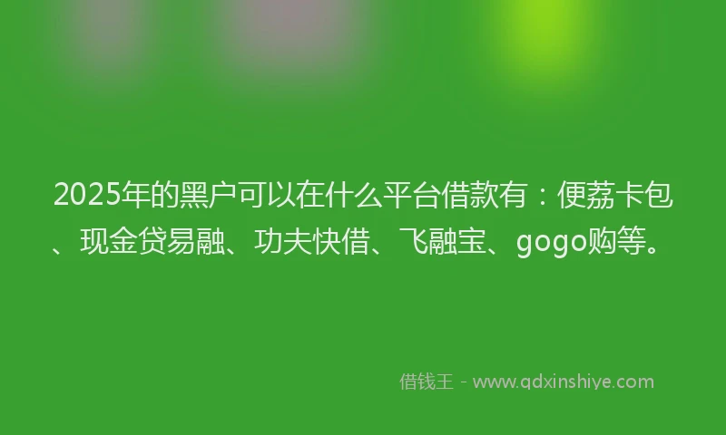 2025年的黑户可以在什么平台借款有：便荔卡包、现金贷易融、功夫快借、飞融宝、gogo购等。