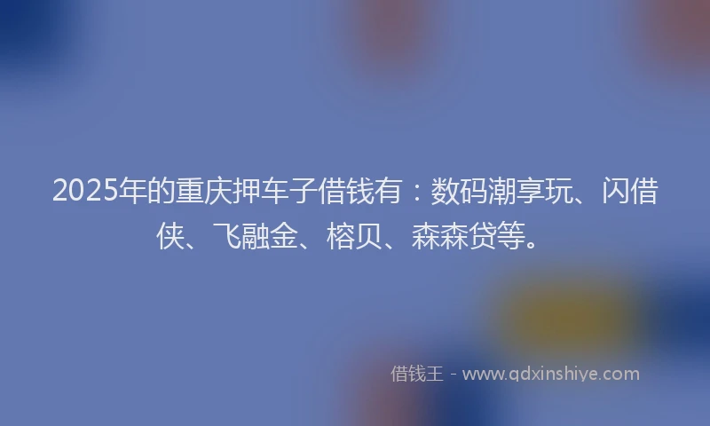 2025年的重庆押车子借钱有：数码潮享玩、闪借侠、飞融金、榕贝、森森贷等。