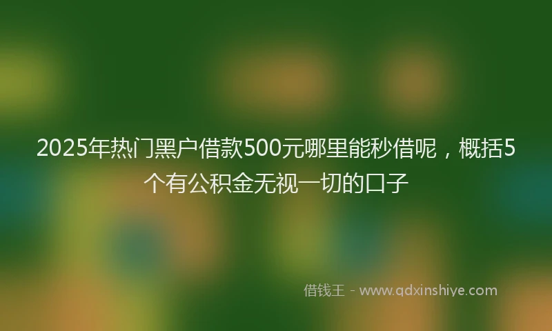 2025年热门黑户借款500元哪里能秒借呢，概括5个有公积金无视一切的口子