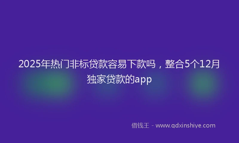 2025年热门非标贷款容易下款吗,整合5个12月独家贷款的app