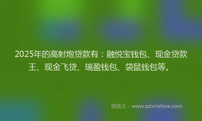 2025年的高射炮贷款有：融悦宝钱包、现金贷款王、现金飞贷、瑞盈钱包、袋鼠钱包等。