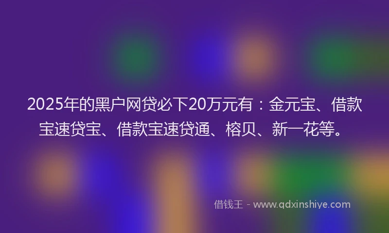 2025年的黑户网贷必下20万元有:金元宝、借款宝速贷宝、借款宝速贷通、榕贝、新一花等。
