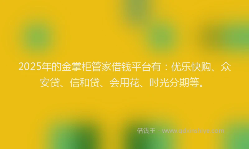 2025年的金掌柜管家借钱平台有：优乐快购、众安贷、信和贷、会用花、时光分期等。