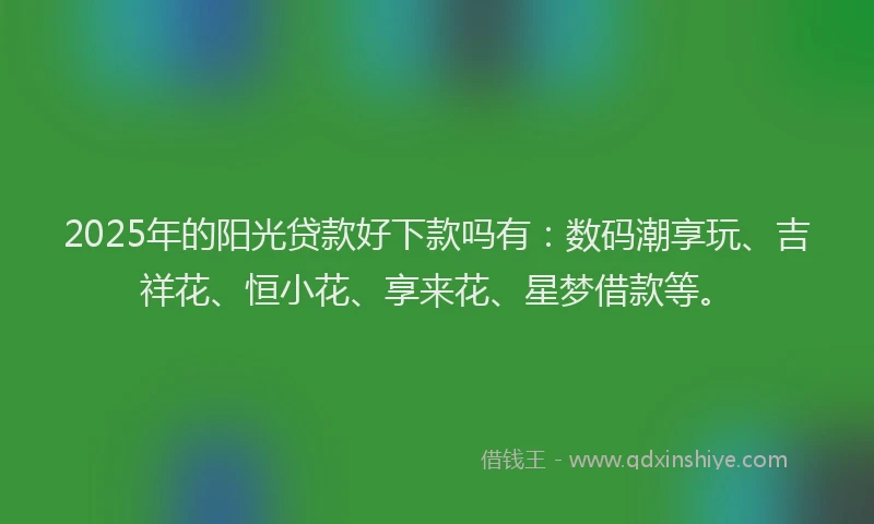2025年的阳光贷款好下款吗有:数码潮享玩、吉祥花、恒小花、享来花、星梦借款等。