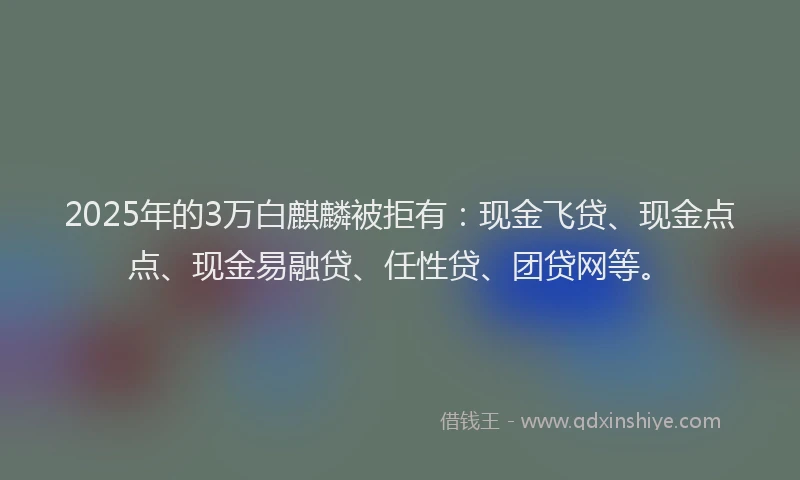 2025年的3万白麒麟被拒有：现金飞贷、现金点点、现金易融贷、任性贷、团贷网等。