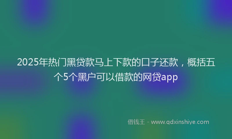2025年热门黑贷款马上下款的口子还款，概括五个5个黑户可以借款的网贷app