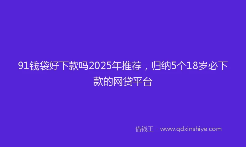 91钱袋好下款吗2025年推荐，归纳5个18岁必下款的网贷平台