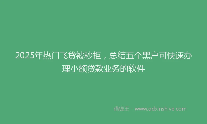 2025年热门飞贷被秒拒，总结五个黑户可快速办理小额贷款业务的软件