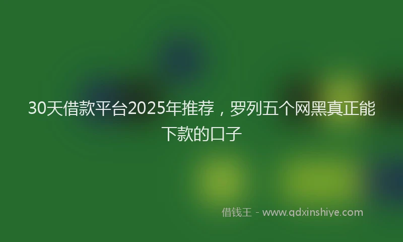 30天借款平台2025年推荐，罗列五个网黑真正能下款的口子