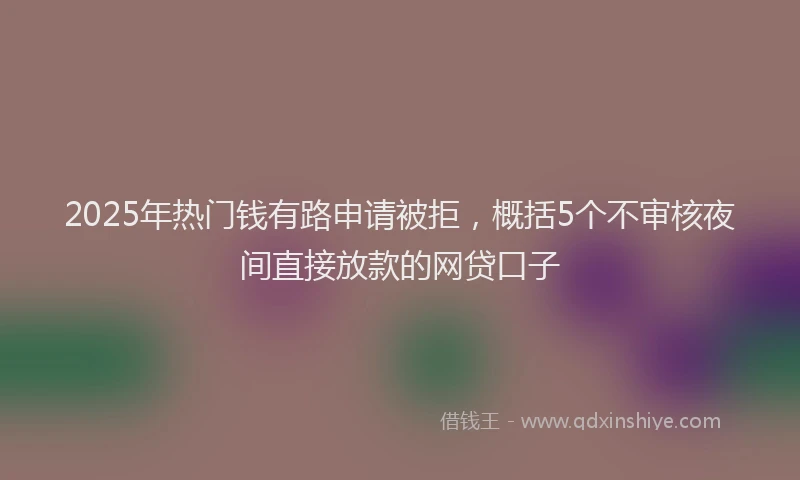 2025年热门钱有路申请被拒，概括5个不审核夜间直接放款的网贷口子